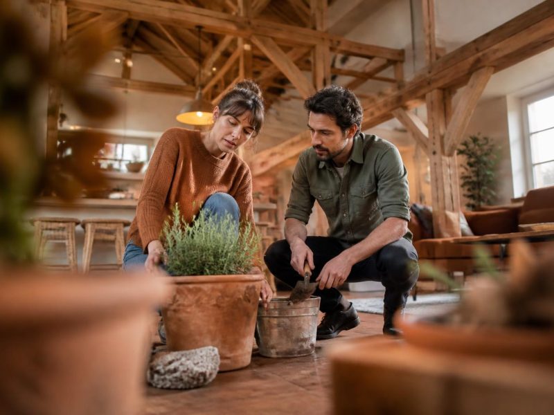 Smart Outdoor Spaces: Practical Home Garden Enhancements for Every Season