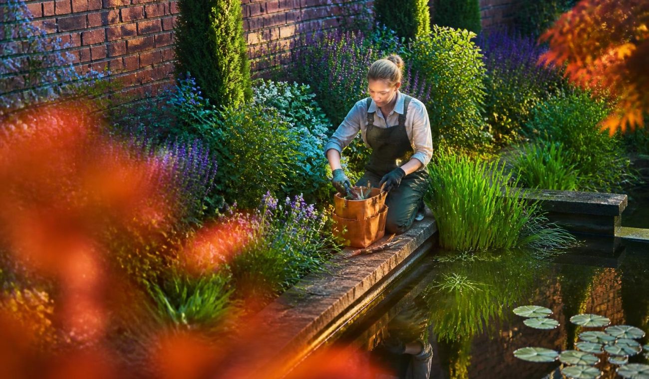 A Practical Guide to Creating a Lush, Wildlife-Friendly Pond Garden
